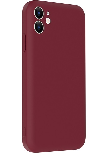 iPhone 11 Kılıf Kamera Korumalı Kartlık Hazneli Inc Vitra Kapak - Mürdüm modelleri