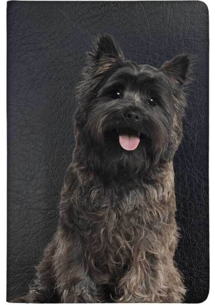 Terrier Desenli Deri Pet Evcil Hayvan Kedi Köpek Pasaport Sağlık Karnesi Kabı Kılıfı