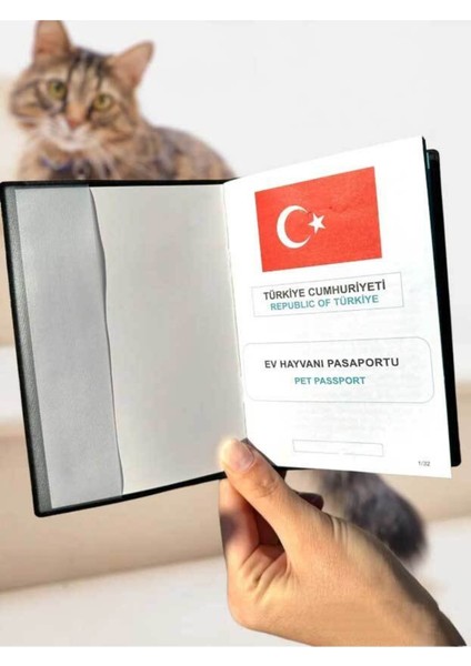 Ayı Teddy Desenli Deri Pet Evcil Hayvan Kedi Köpek Pasaport Sağlık Karnesi Kabı Kılıfı fiyatları