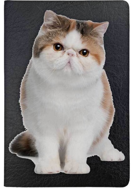 Short Hair Desenli Deri Pet Evcil Hayvan Kedi Köpek Pasaport Sağlık Karnesi Kabı Kılıfı