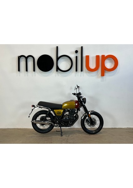 2024 Brixton Cromwell 250