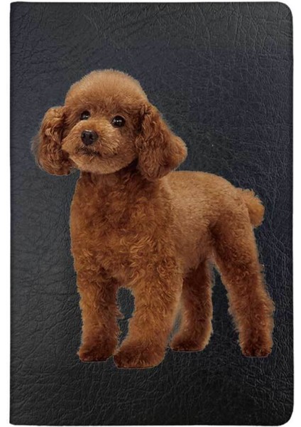 Kaniş 3 Desenli Deri Baskılı Evcil Hayvan Pet Kedi Köpek Pasaport Kılıfı Karnesi