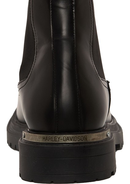 Falco Erkek Bot modelleri