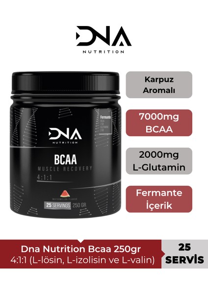Bcaa 4:1:1 Karpuz Aromalı 250 gr fiyatları