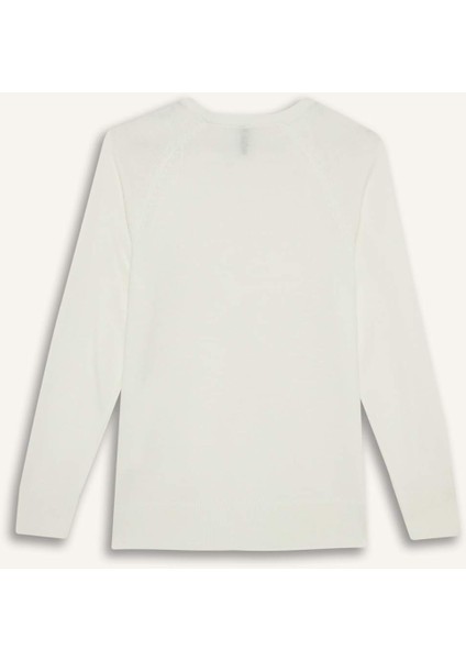 Regular Fit Yumuşak Dokulu Bisiklet Yaka Basic Düz Triko Kazak I6913AZ24WN