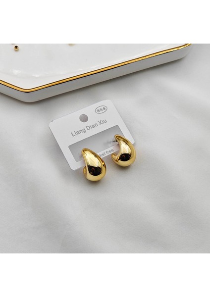 Kararmaz Şık Çelik Küpe