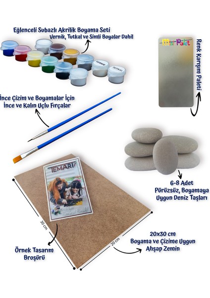 Taş Boyama /okyanus Tema Etkinlik Seti modelleri