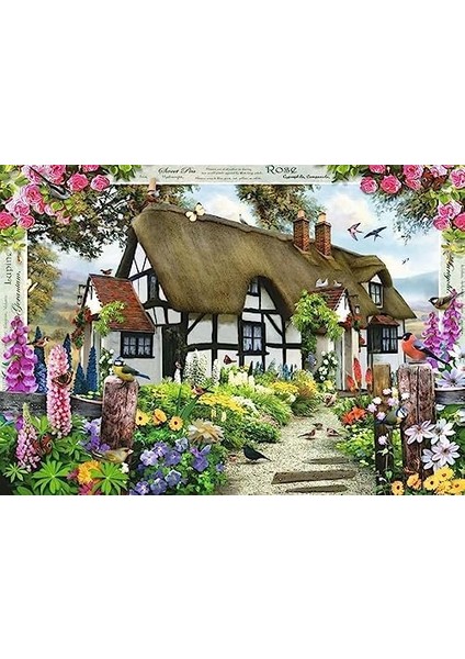 Rosen Cottage Puzzle Mit 1000 Teile