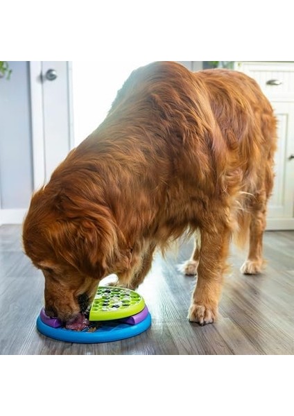 Outward Hound Nina Ottosson Lickin' Layers - Köpekler Için Interaktif Zeka Oyuncağı - Daha Yavaş Yeme Hızı Için fiyatları