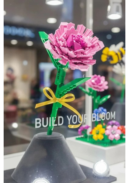 Çiçek Serisi Karanfil Oyun Bloğu