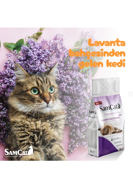Lavanta Kokulu Kedi Kumu 10Lt (3 al 2 öde kampanyasından faydalanmak için sepete 3 adet eklemelisiniz) fiyatları