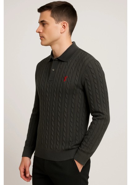 Polo Yaka Desenli Tişört modelleri