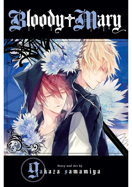 Mary, Vol. 9: Volume 9