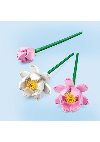 Botanicals Çiçekleri 40647 - Dekoratif, Koleksiyonluk ve Sergilenebilir Çiçek Modeli Yapım Seti (220 Parça)