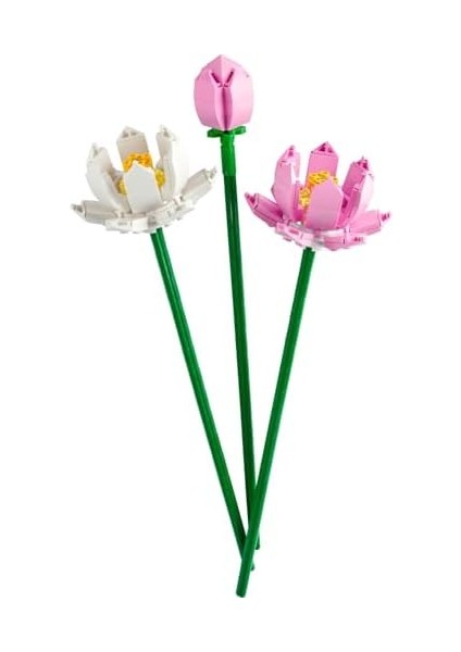 Botanicals Çiçekleri 40647 - Dekoratif, Koleksiyonluk ve Sergilenebilir Çiçek Modeli Yapım Seti (220 Parça) modelleri