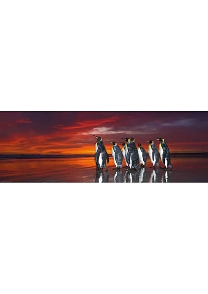 Heye 29858 Humboldt Yapboz, Çok Renkli