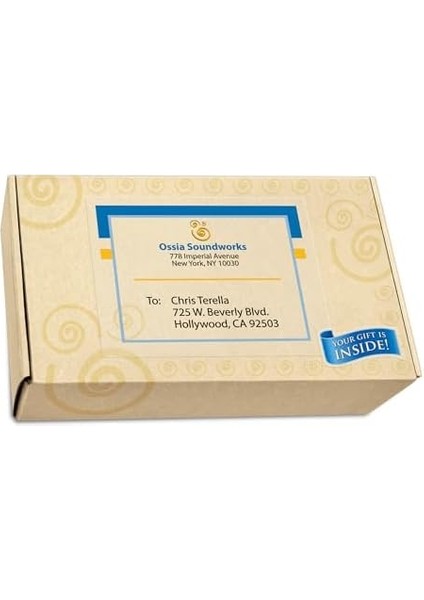 Mürekkep Püskürtmeli Yazıcılar Için Mat Buzlu Şeffaf Tam Sayfa Etiketleri, 8,5 Inç x 11 Inç, 25 Etiket (8665)