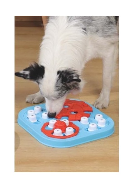 Braıny Games Galıleo Puzzle 3.seviye modelleri