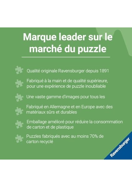 1000P Puzzle Ada Manzarası, Yapboz