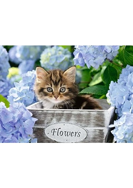 128945 Kedicik Puzzle, 300 Parça, Çok Renkli fiyatları