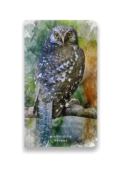 Art Voyage, Çizgisiz Seyahat Not Defteri, Karton Kapak, 12X21 cm Dikey, 128 Sayfa modelleri