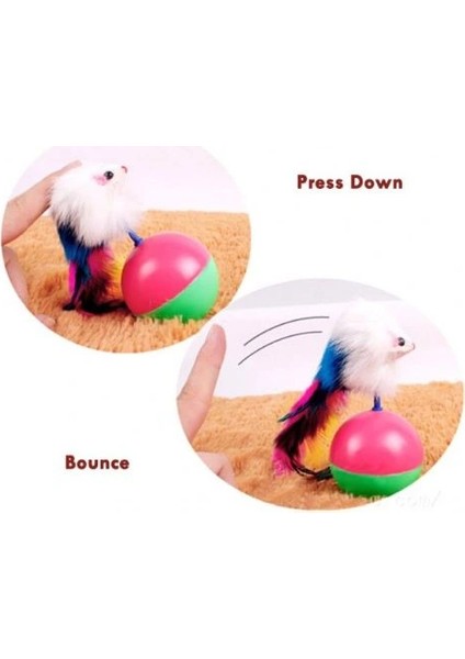 Buğz Kedi Fare Hacıyatmaz Oyunu fiyatları