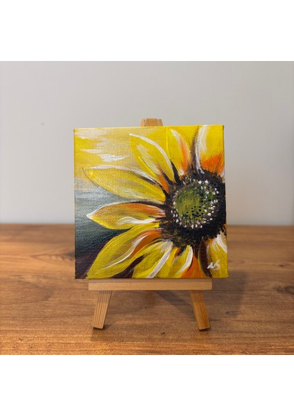 Mini Akrilik Boya Tablo