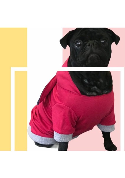 Şemsiye Desenli Kapüşonlu Köpek Kıyafeti –2xl – Şık, Rahat ve Koruyucu! fırsatları