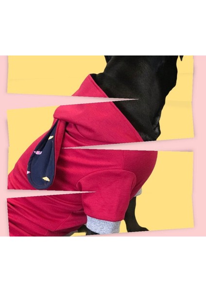 Şemsiye Desenli Kapüşonlu Köpek Kıyafeti –2xl – Şık, Rahat ve Koruyucu! indirimleri