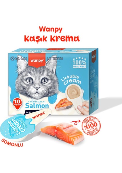 Somonlu Kaşık Krema Kedi Ödül Maması 10X16GR