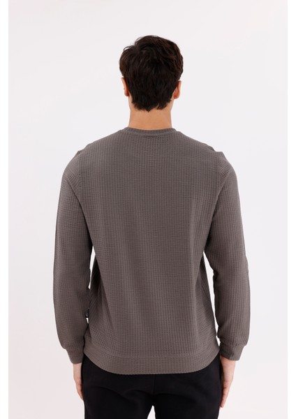 Petek Yüzeyli Bisiklet Yaka Rahat Kalıp Lastik Manşetli Mevsimlik Sweatshirt