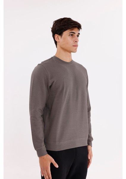 Petek Yüzeyli Bisiklet Yaka Rahat Kalıp Lastik Manşetli Mevsimlik Sweatshirt fırsatları