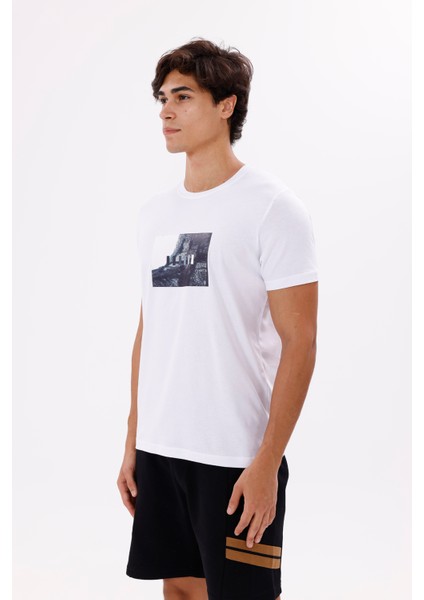 Dikdörtgen Fotoğraf Baskılı Yumuşak Dokulu Bisiklet Yaka Kısa Kollu Rahat Kesim Tişört fiyatları