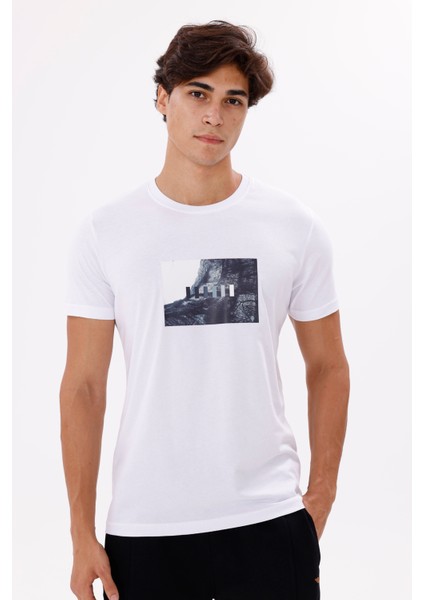 Dikdörtgen Fotoğraf Baskılı Yumuşak Dokulu Bisiklet Yaka Kısa Kollu Rahat Kesim Tişört indirimleri