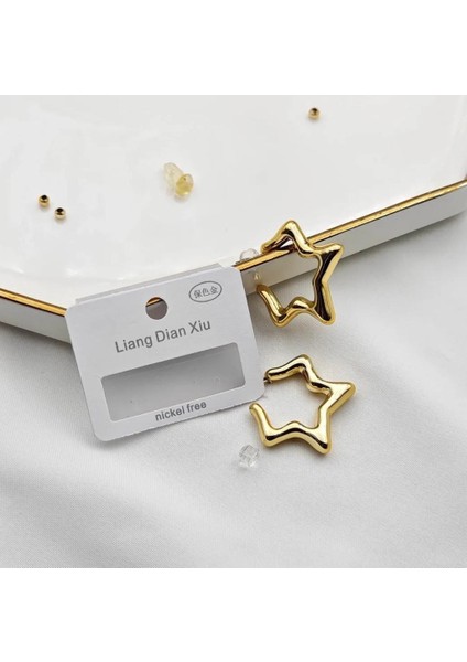 Yıldız Çelik Şık Küpe