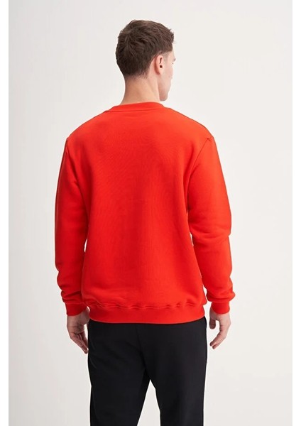 Kalın Diyagonal Dokulu %100 Pamuk 3 Iplik Regular Fit Sweatshirt modelleri