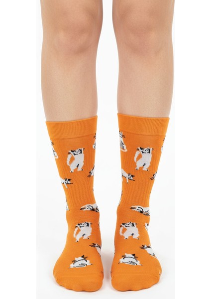 Silver Cat Socks – Desenli Unisex Soket Çorap fırsatları