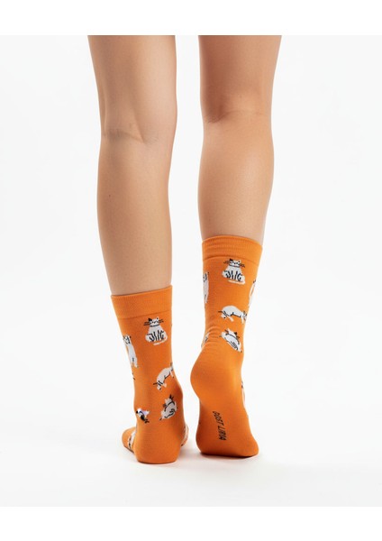 Silver Cat Socks – Desenli Unisex Soket Çorap indirimleri