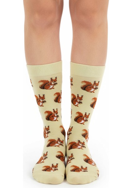 Squirrel Socks – Desenli Unisex Soket Çorap modelleri