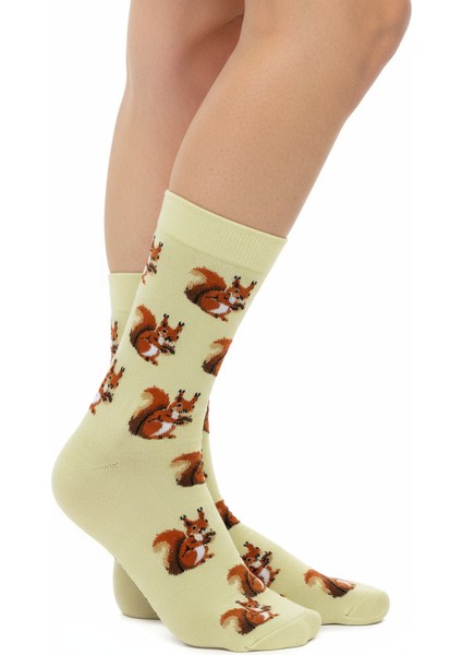 Squirrel Socks – Desenli Unisex Soket Çorap fırsatları