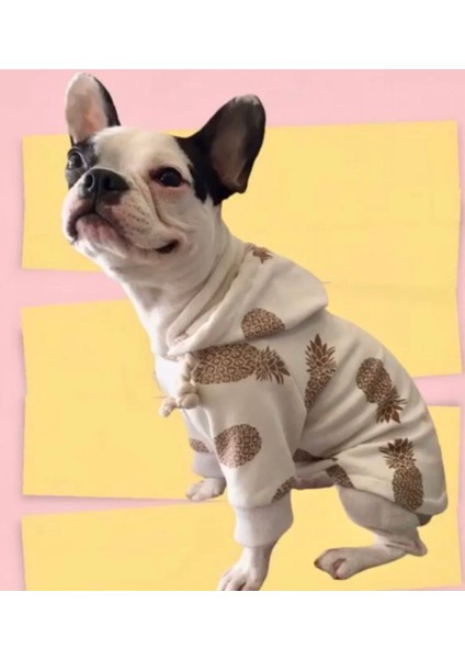 Beyaz-Ananas Detaylı Kapüşonlu Köpek Sweatshirtü 2xl | Şık ve Rahat Köpek Hoodie