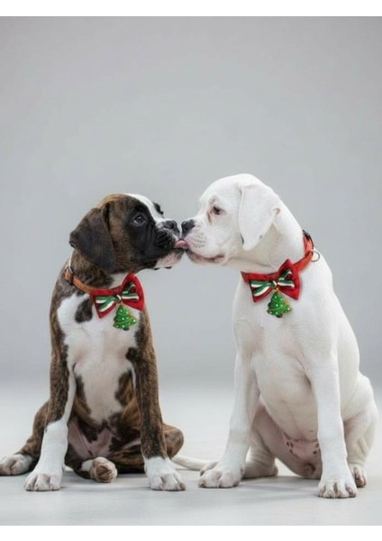 Yılbaşı Agaçı Köpek Papyon Tasması | Kırmızı Fiyonk Boyun Aksesuarı | Noel Temalı Köpek Süsü | Orta ve Büyük Irklar Için fırsatları