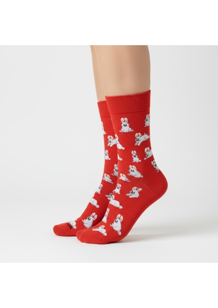Rabbit Socks – Desenli Unisex Soket Çorap fırsatları