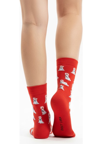 Rabbit Socks – Desenli Unisex Soket Çorap indirimleri