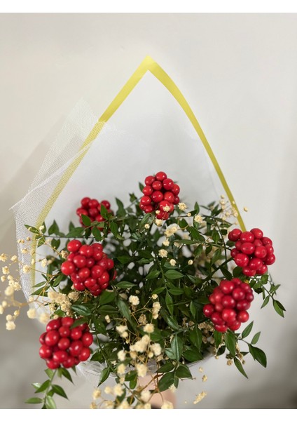 Kokina Şans Çiçeği Cipso Aranjmanlı Beyaz Buket (6 Dal)-Yılbaşı Çiçeği -Şans Çiceği Cipso