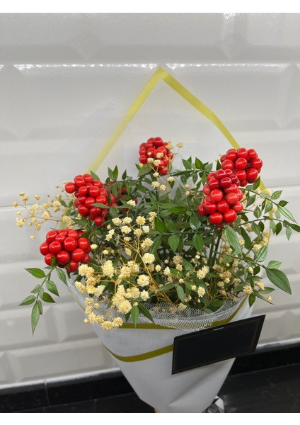 Kokina Şans Çiçeği Cipso Aranjmanlı Beyaz Buket (6 Dal)-Yılbaşı Çiçeği -Şans Çiceği Cipso modelleri