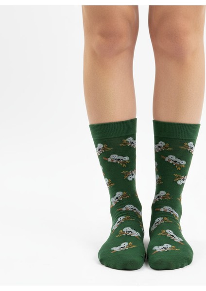 Koala Socks – Desenli Unisex Soket Çorap modelleri
