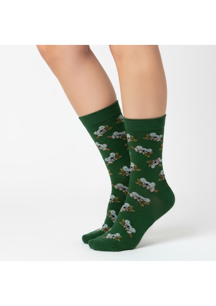 Koala Socks – Desenli Unisex Soket Çorap fırsatları