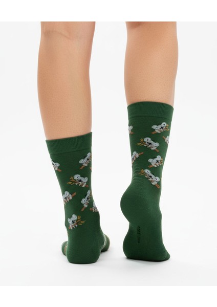Koala Socks – Desenli Unisex Soket Çorap indirimleri