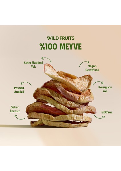 Kurutulmuş Tarçınlı Elma - Soft Dried - Atıştırmalık Kuru Meyve 2 x 50 gr modelleri